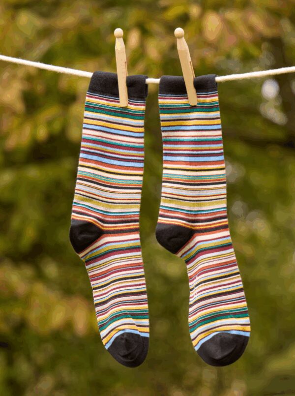 PAUL SMITH – CALZA RIGA MULTICOLOR