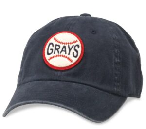 AMERICAN NEEDLE INC – ARCHIVE HOMESTEAD G BLU